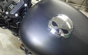 HARLEY XL883N 2013