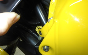 DUCATI SCRAMBLER ICON 2021