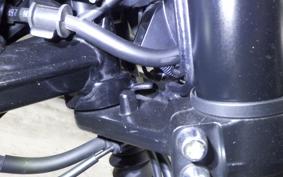 KAWASAKI ELIMINATOR400-3SE 2024 EL400A