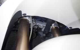 TRIUMPH DAYTONA 675 2010
