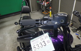 HARLEY XL883N 2015