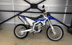 YAMAHA WR250R DG15J