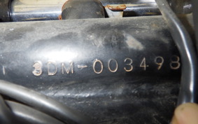 YAMAHA VIRAGO 250 3DM
