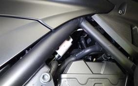 YAMAHA MT-25 A 2006 RG95J