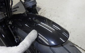 HARLEY XL1200NS 2018
