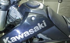 KAWASAKI KLX250 Gen.2 2011 LX250S