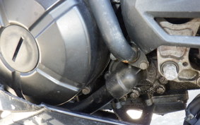 KAWASAKI NINJA 250 ABS EX250L