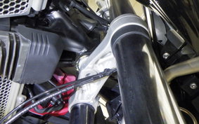 TRIUMPH TIGER 900 GT PRO 2025