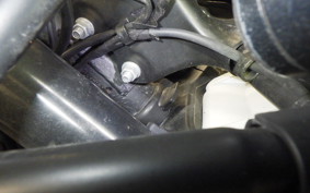 OTHER +ENFIELD ヒマラヤン450 2024