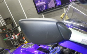YAMAHA YZF R-3 2019 RH13J