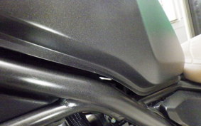 HONDA REBEL 250 S 2024 MC49
