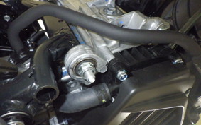 HONDA DUNK 2007 AF78