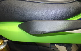 KAWASAKI ZRX1200 D 2015 ZRT20D