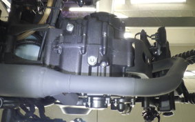 HONDA REBEL 250 S MC49