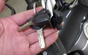 BMW R NINE T PURE 2024