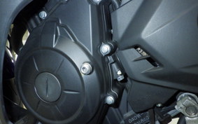 YAMAHA YZF-R25 2014 RG10J