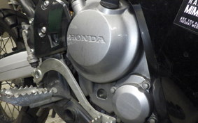 HONDA CRF250 RALLY A 2024 MD44