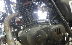 OTHER MUTT250