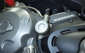 DUCATI MONSTER 1100S 2010