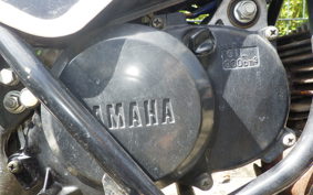 YAMAHA PW50 2023 4X4