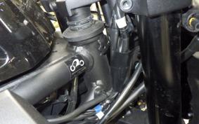 YAMAHA YZF R-3 2025 RH21J