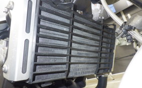 HONDA HORNET 250 MC31