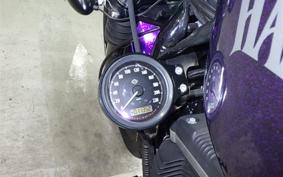 HARLEY XL883N 2015