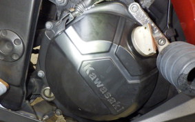 KAWASAKI NINJA 250 2024 EX250L