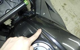 KAWASAKI NINJA 250 2021 EX250L