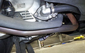 HONDA FAZE 1999 MF11