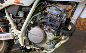 HONDA XLR250 BAJA MD22