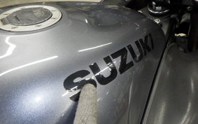 SUZUKI GSX-1300R HAYABUSA 2002