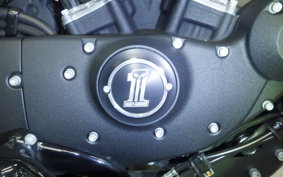 HARLEY XL1200NS 2019