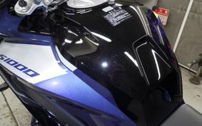BMW S1000XR 2024