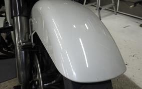 HARLEY FLTRXSE1920CVO 2021