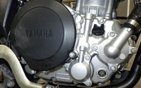 YAMAHA WR250X 2007 DG15J