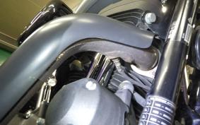 HARLEY XL1200NS 2020