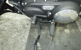 HARLEY XL883N 2015