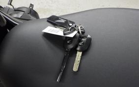 HONDA REBEL 1100 DCT 2022 SC83