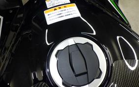 KAWASAKI NINJA 1000SX 2024 ZXT02K