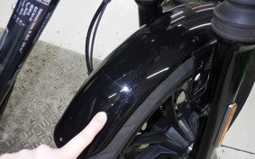 HARLEY XL1200NS 2018