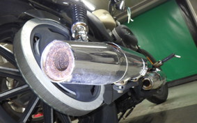 HARLEY XL883N 2015