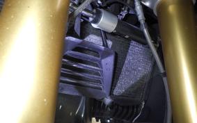BMW R1250RS 2023