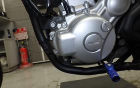 YAMAHA WR250X DG15J