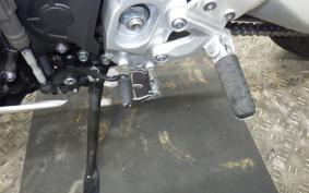 YAMAHA XSR900 GP 2024 RN96J