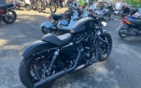HARLEY XL883N 2020 LE2