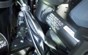 YAMAHA MT-25 A 2010 RG43J