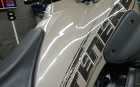 YAMAHA XT660 TENERE Z 2009