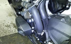 KAWASAKI NINJA ZX-6R A 2019 ZX636G