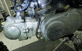 HONDA GORILLA Z50J
